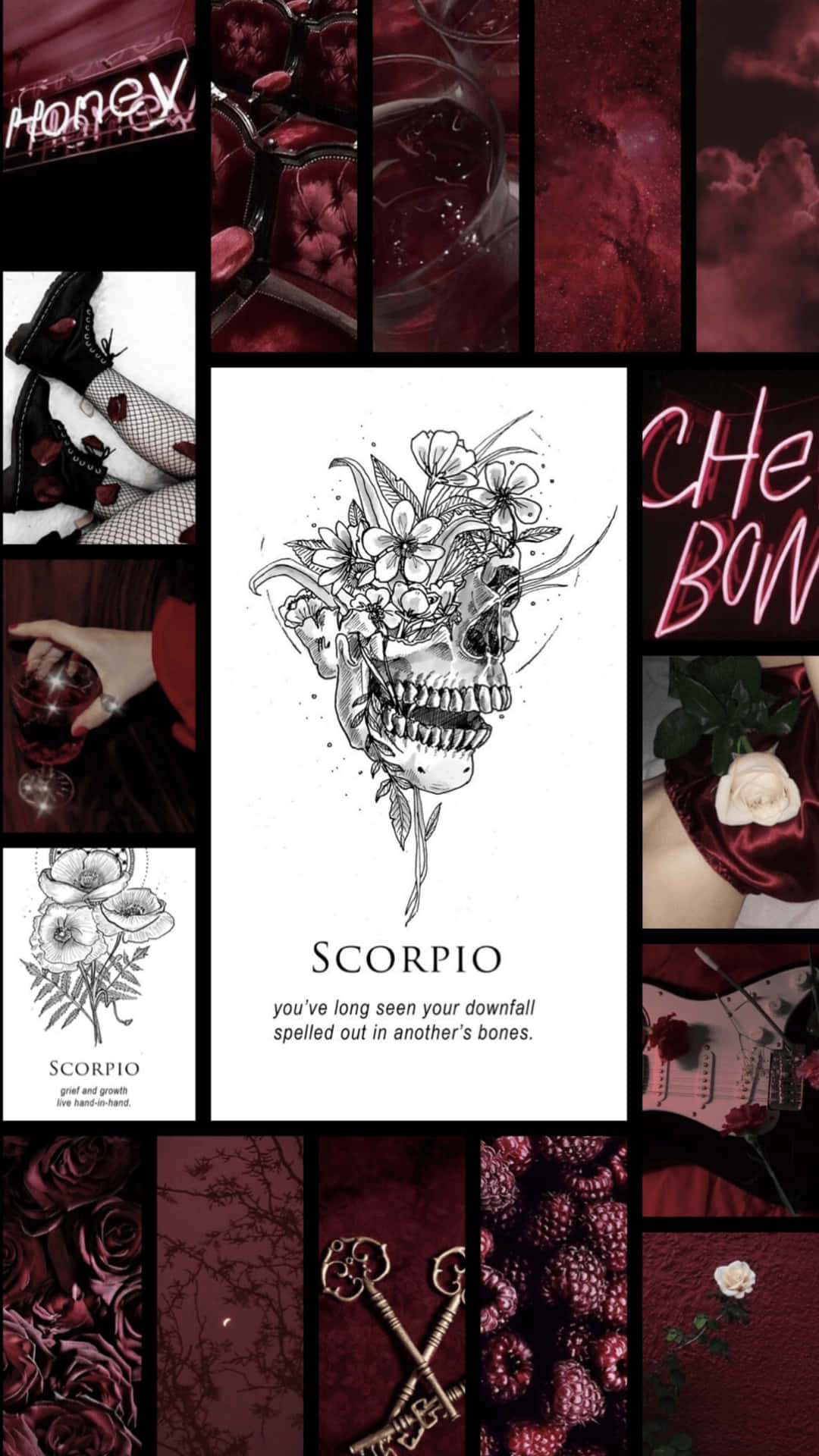 Aesthetic Astrology Wallpaper