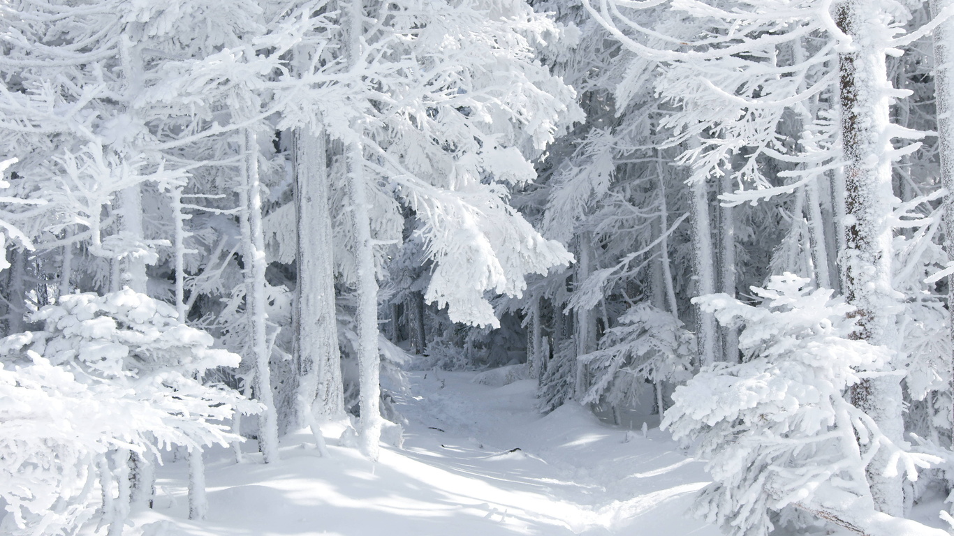 Nature Winter Large On The Desktop Pictures 3d Wallpaper