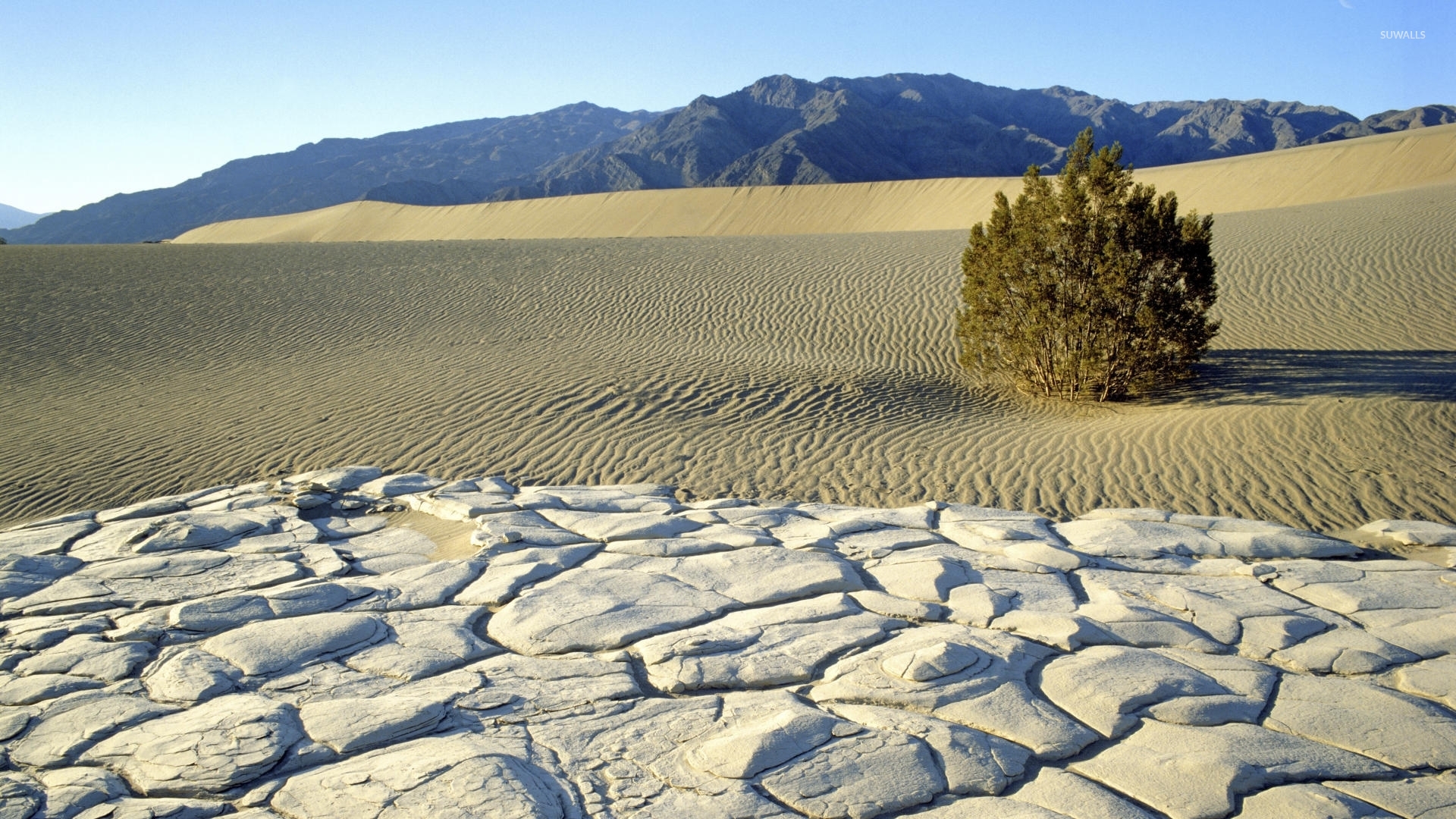 Sunny Day In Death Valley National Park Wallpaper Nature