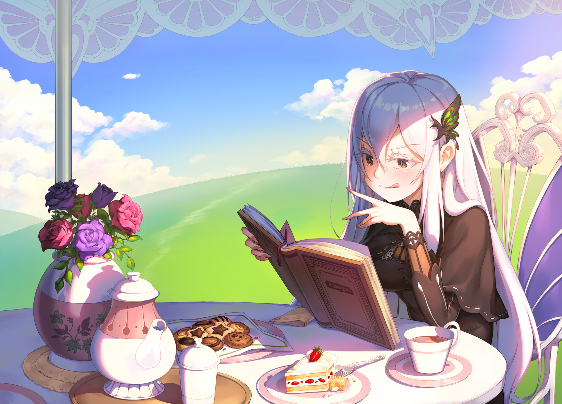 Echidna Reading Wallpaper