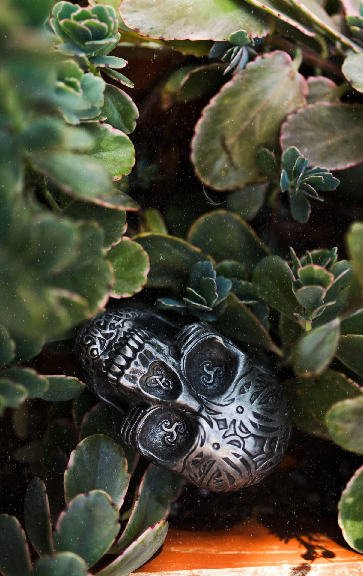 Skull iPhone Wallpaper