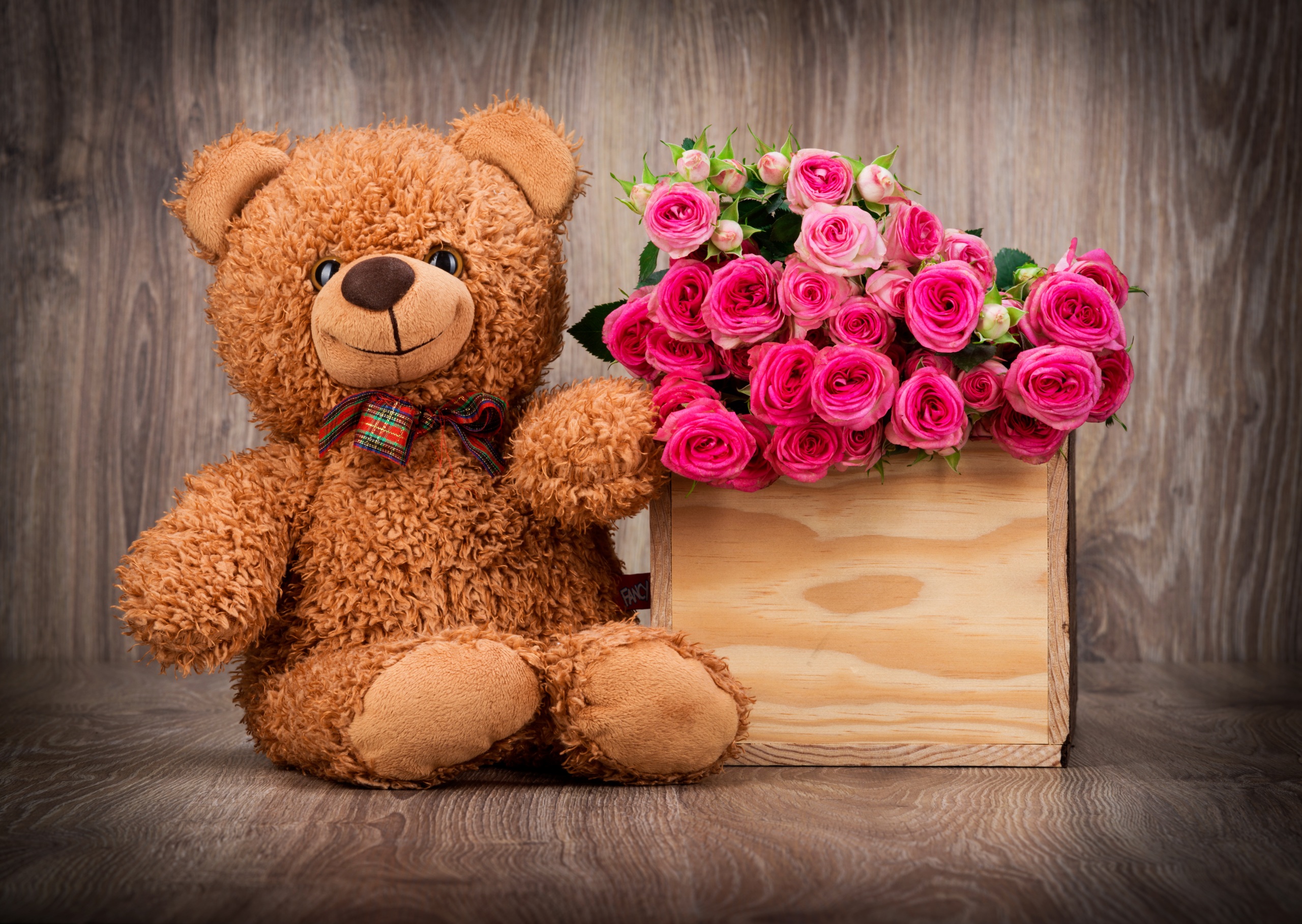 Cute Teddy Bear Wallpaper With Pink Roses In Box HD For