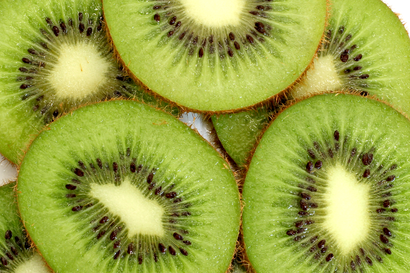 Sliced Kiwi Fruit Previous Photo Next