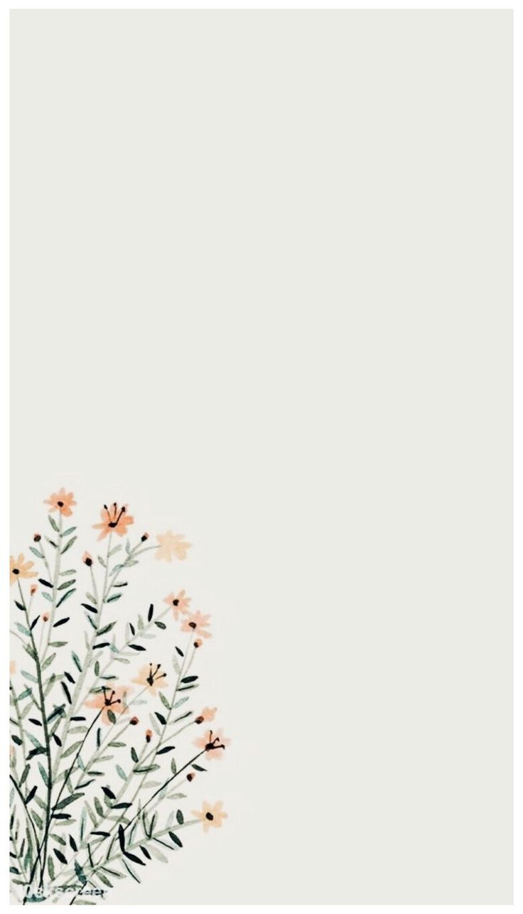 Flowers iPhone Background Simple Wallpaper