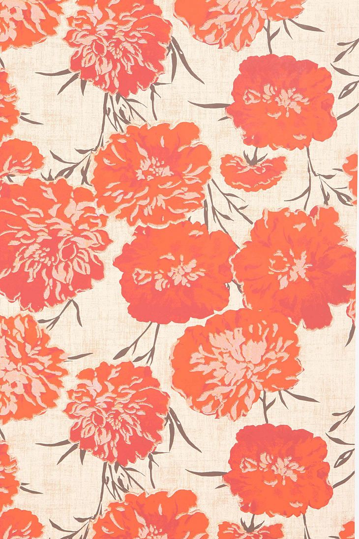 Peony Wallpaper Peonies And Pink