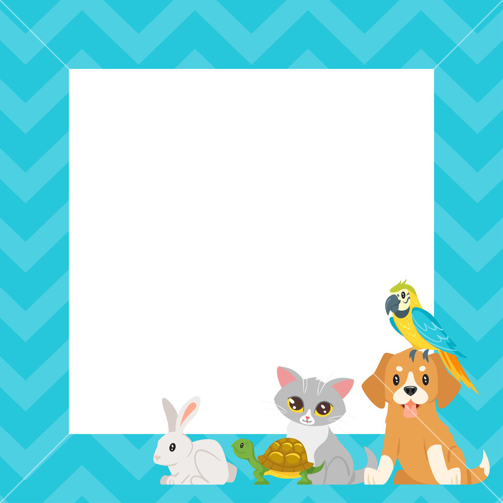 Vector Cartoon Style Video And Photo Frame Background For Editing
