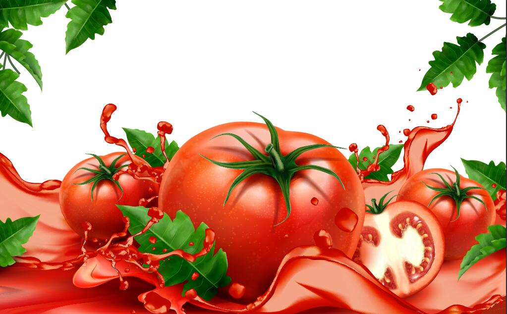 Tomato Juice With White Background Vector Design
