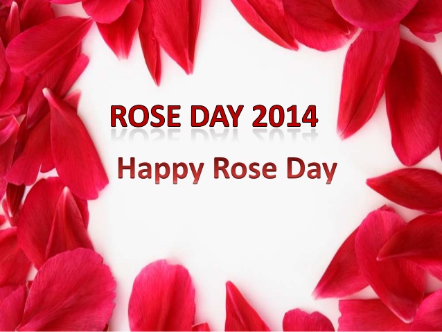 Happy Rose Day Image Quotes Sms In Hindi Wallpaper