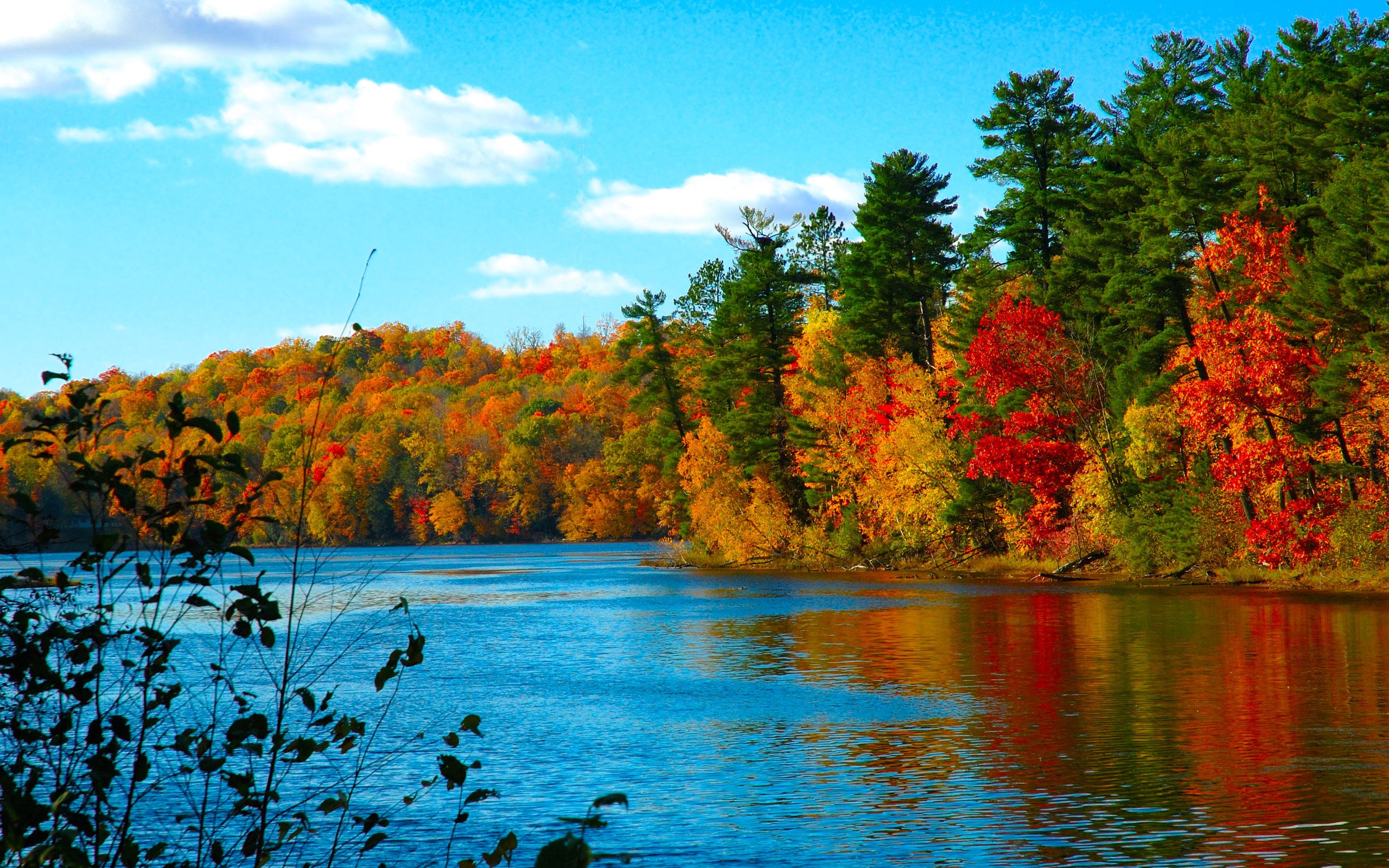 PC wallpaper windows wallpaper Fall on the Wolf River Wisconsin