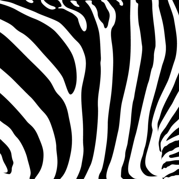 Zebra Strepen Wallpaper