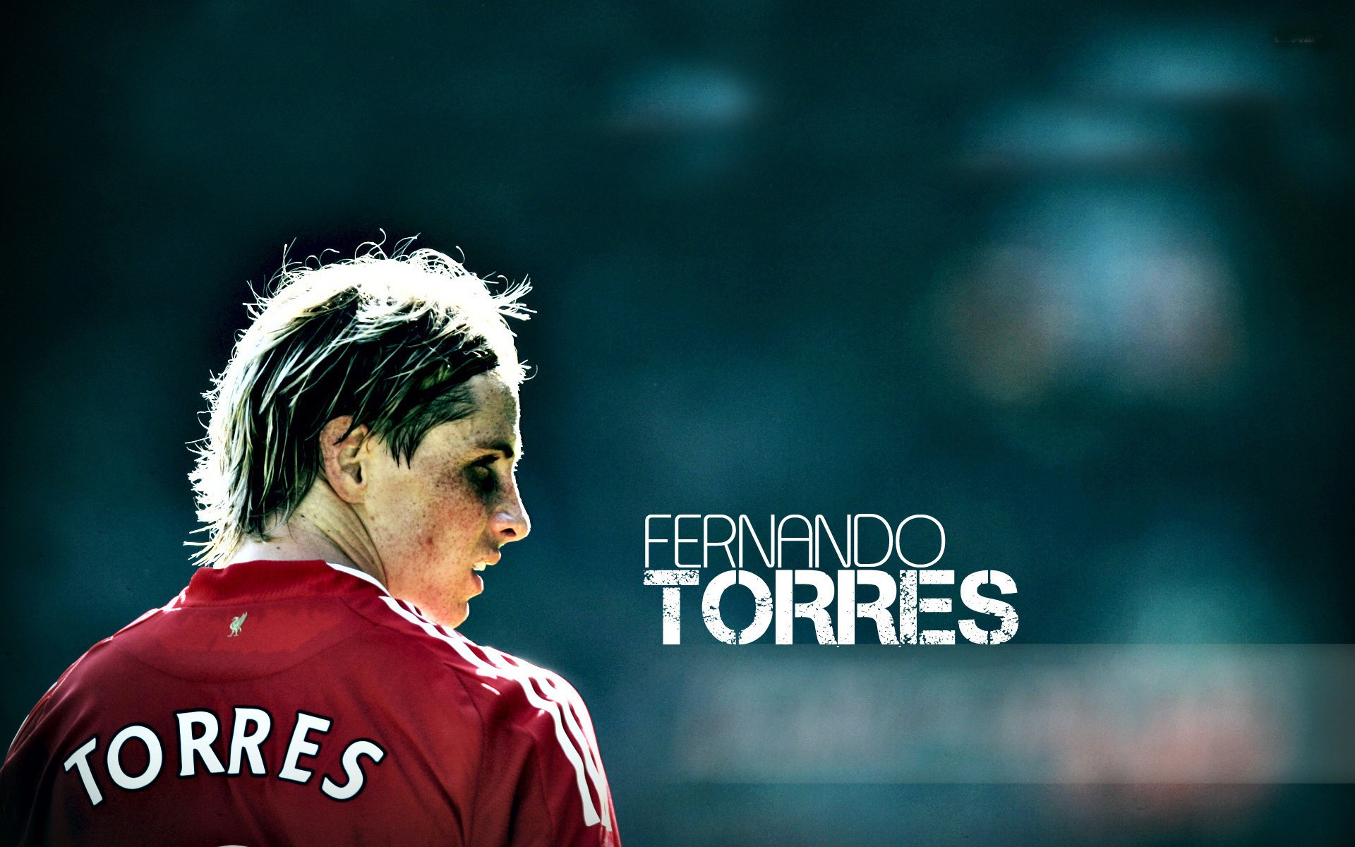 Fernando Torres Wallpaper New HD