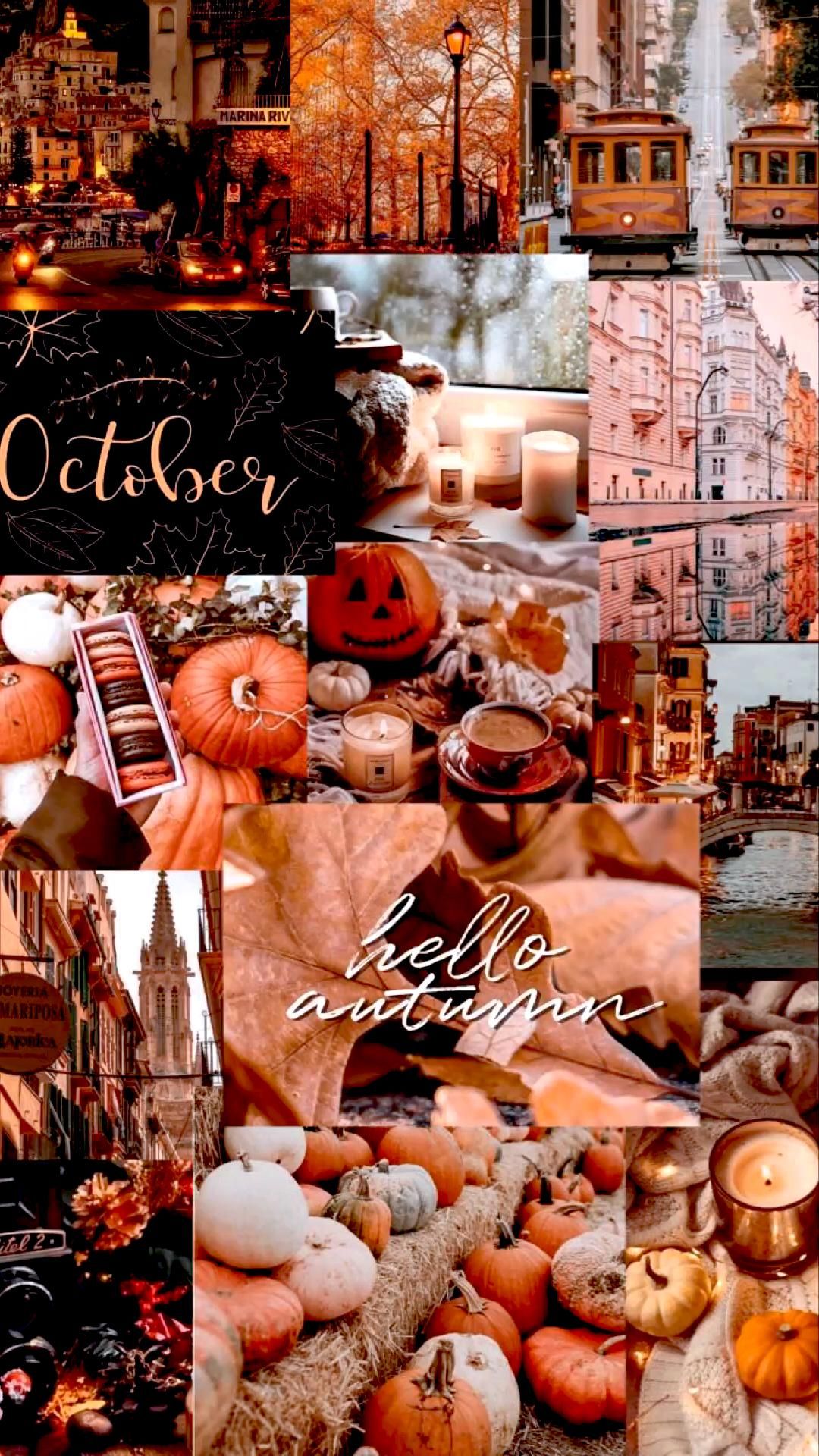 Cute Autumn Wallpaper Artofit