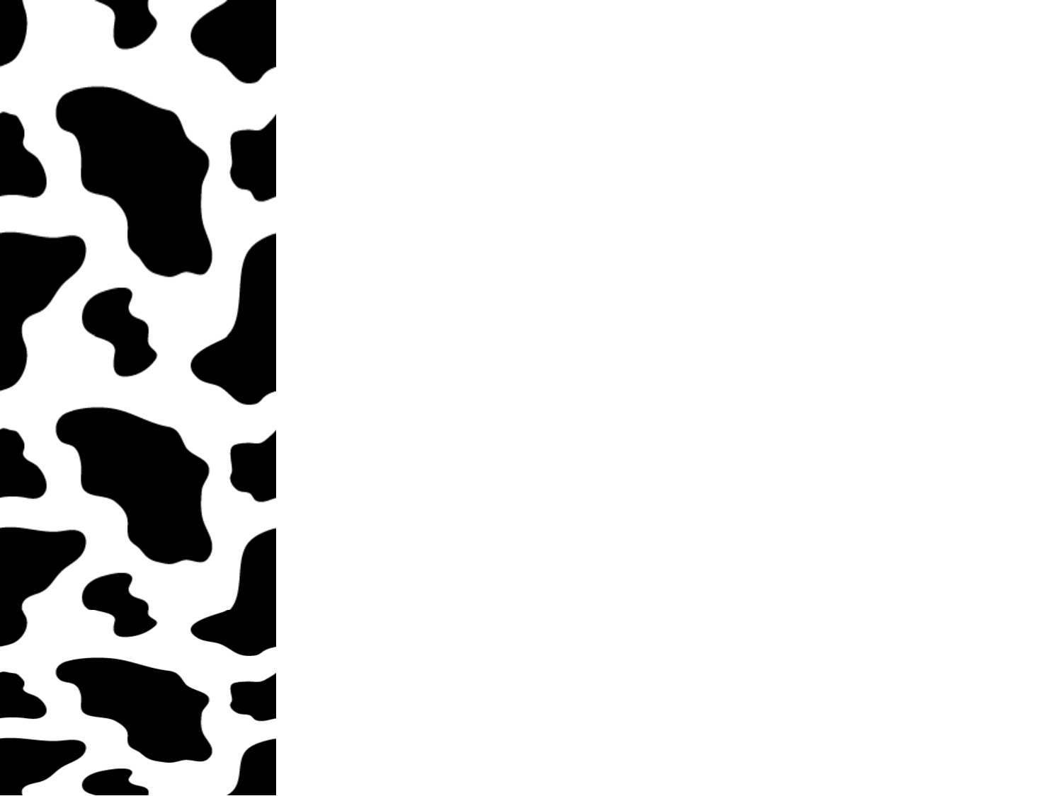 cow print wallpaper border