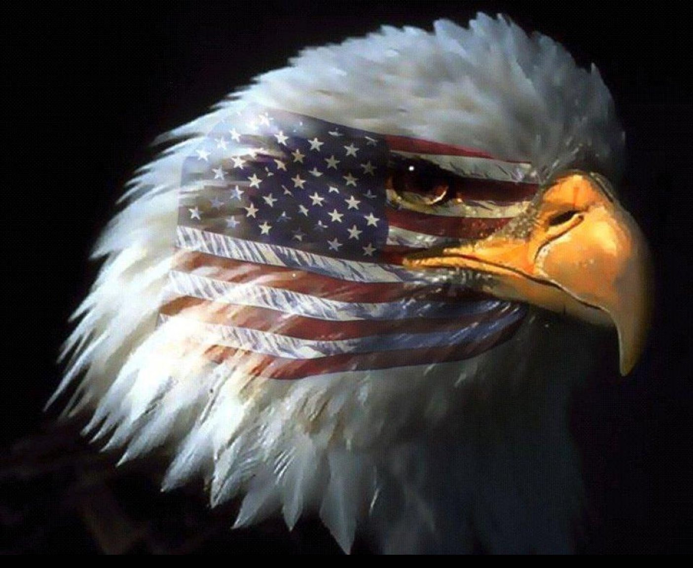 eagle american flag wallpaper dowload eagle american flag wallpaper