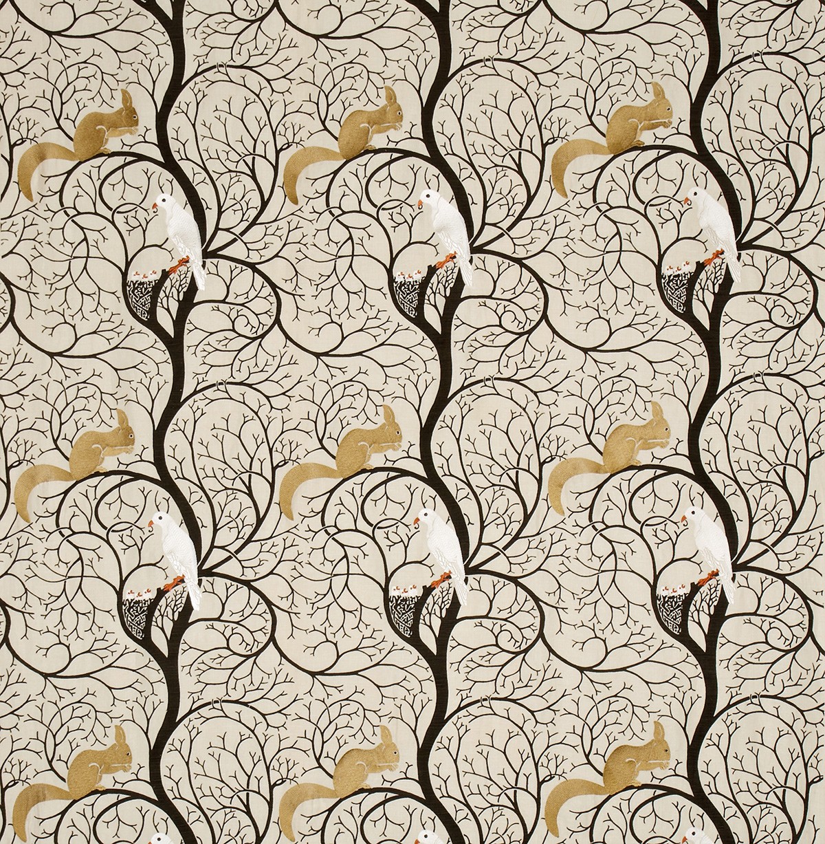 Squirrel Dove By Sanderson Wallpaper Direct