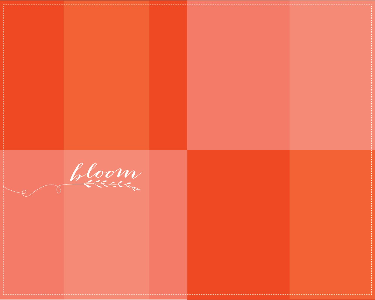 Coral Color Background Images Pictures   Becuo 1280x1024