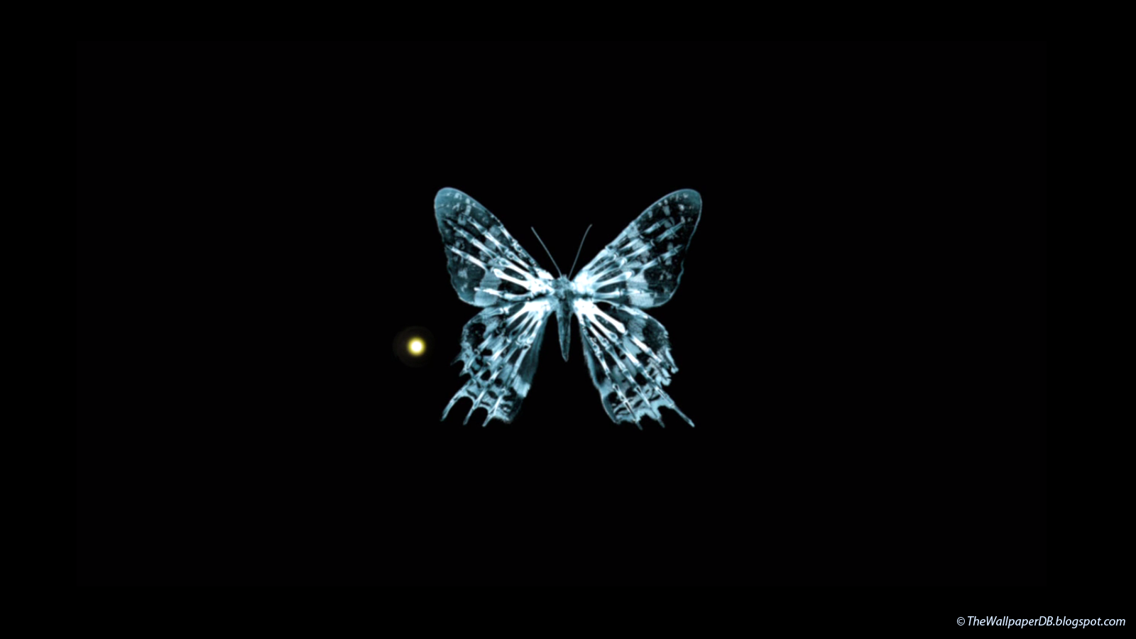  wallpaperwallpaper spring butterflies animated wallpaper download