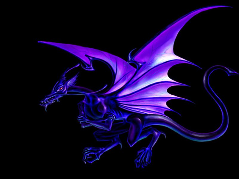 Untitled Animated Dragon Wallpaper