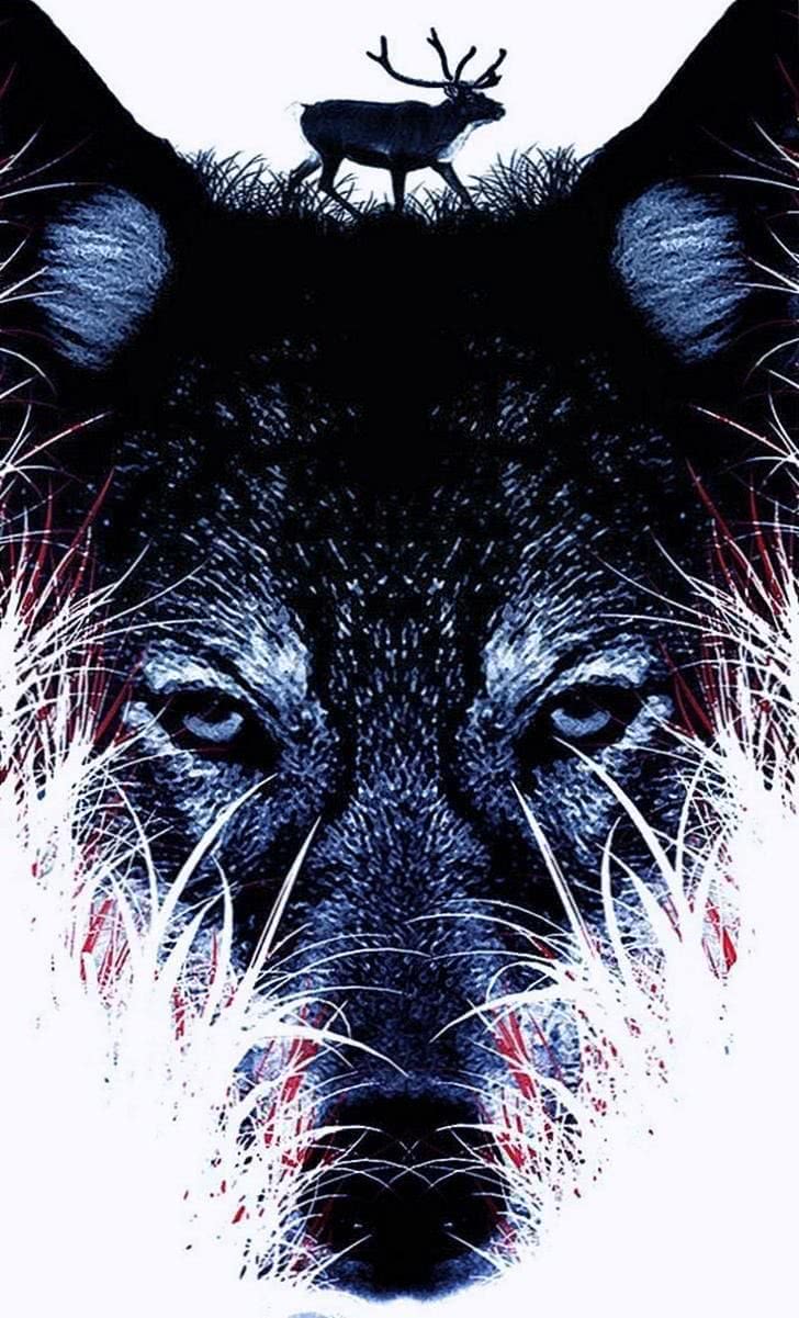 Alpha Wolf iPhone Wallpaper Pro