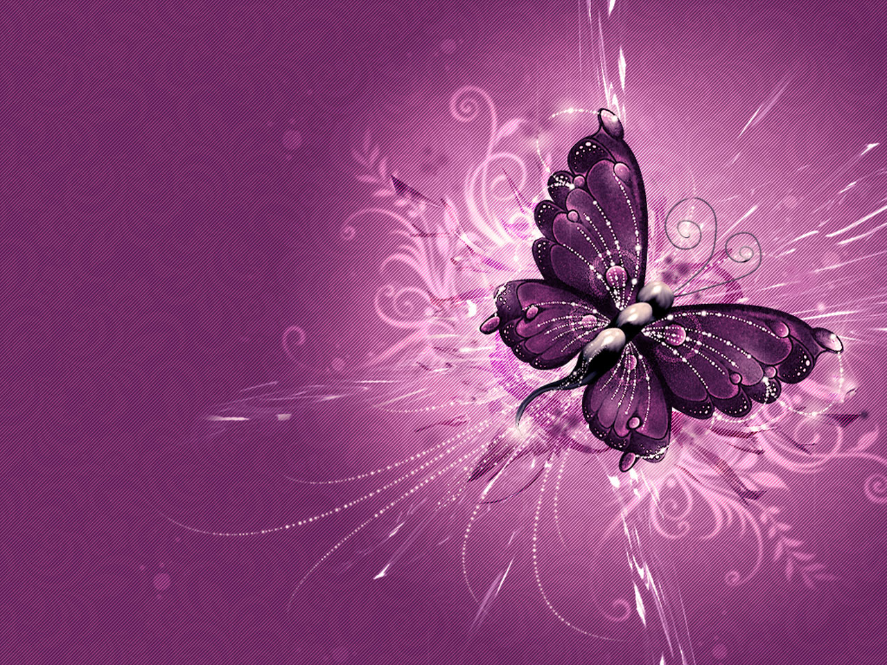 Fantastic Purple Butterfly Wallpaper Desktop Background