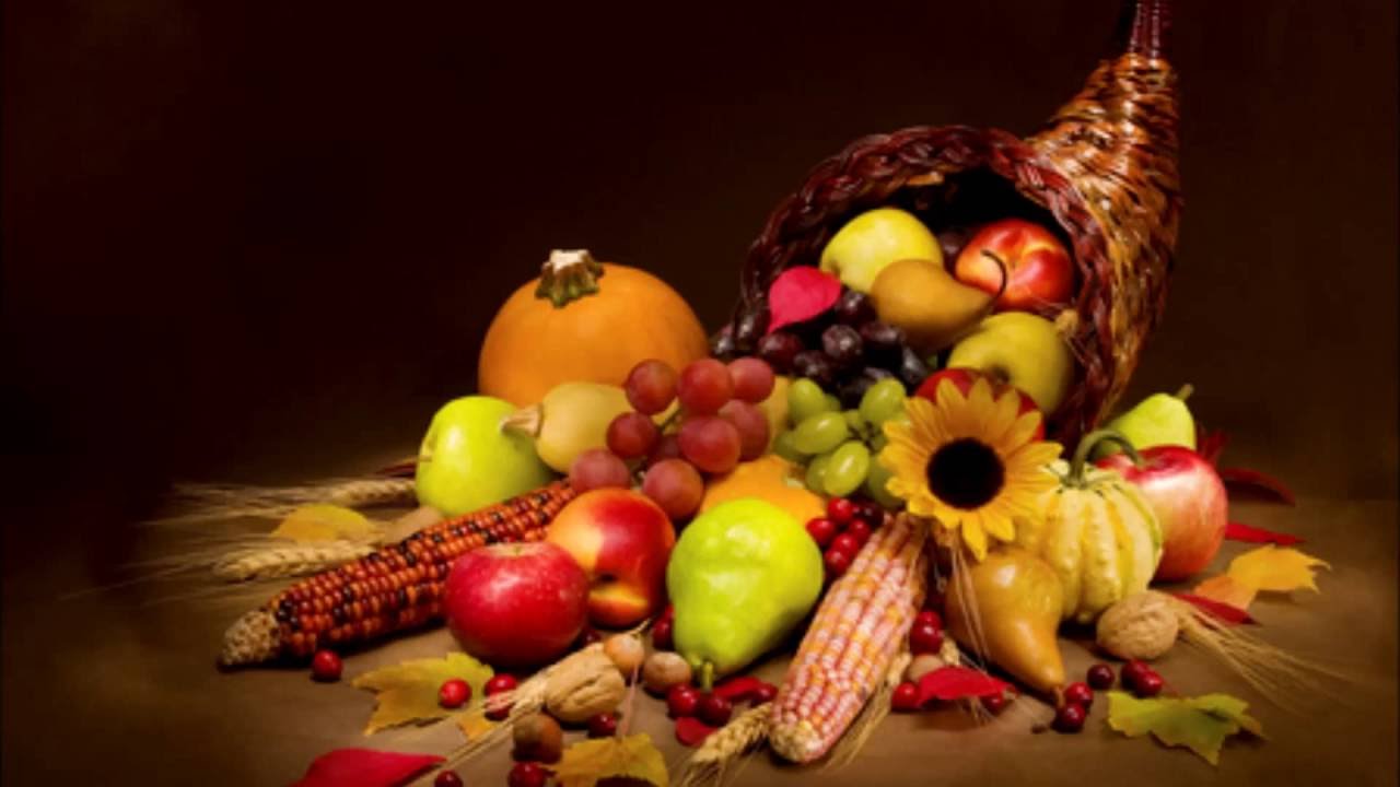 Happy Thanksgiving Day Image Pictures HD Wallpaper