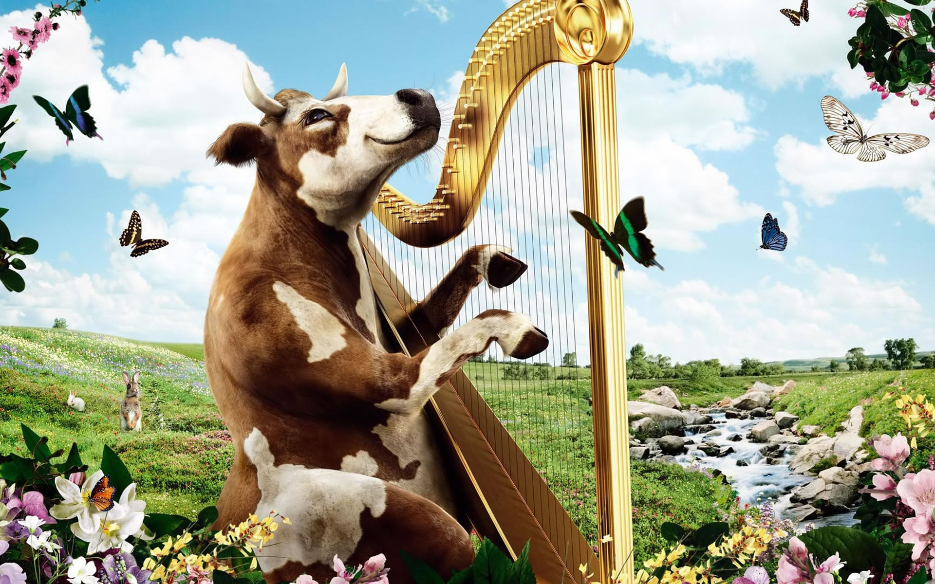 Cow Playing The Harp Wallpaper Funny