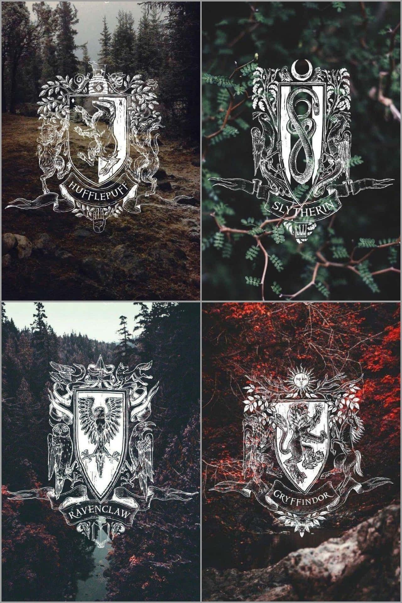 The Magic Of Harry Potter Wallpaper