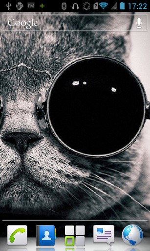 Background With Cats Wearing Glasses Tags Cat