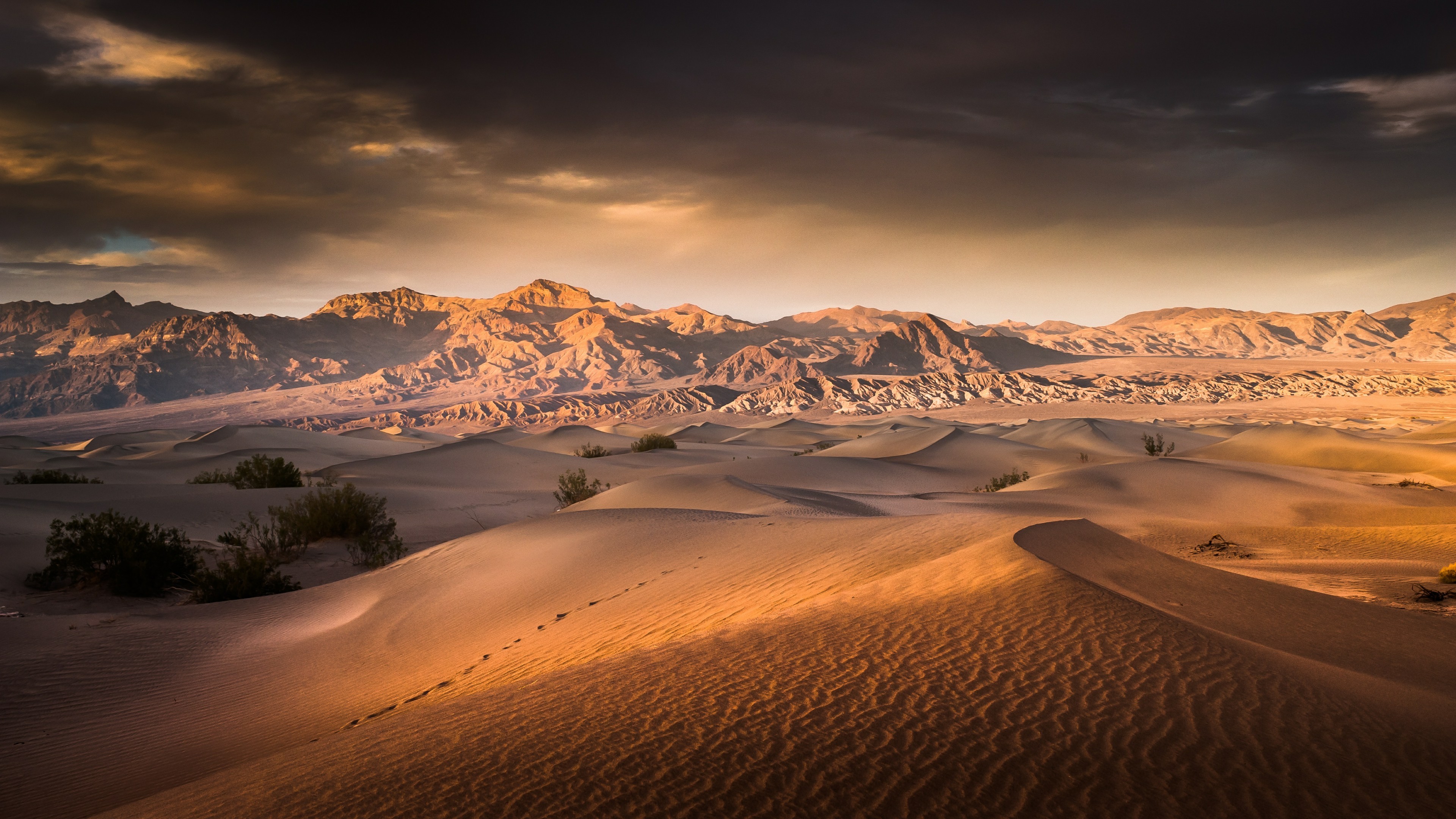 Sand Dunes Wallpaper