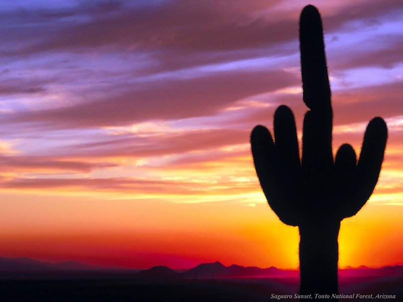 Desert Sunset Wallpaper