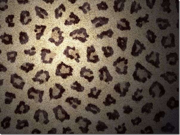 Leopard Background Mac Snow Wallpaper By