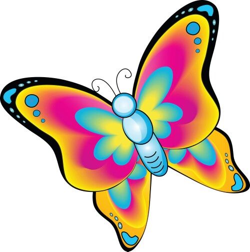 Butterfly Tablet Wallpaper Or Background Pintere