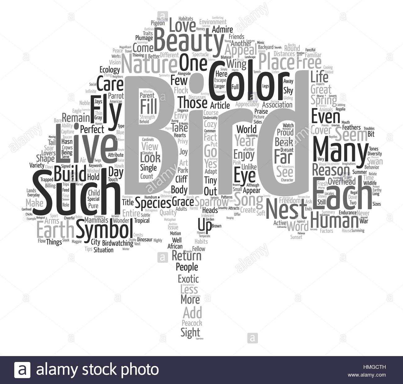 A Few Words In Praise Of Birds Text Background Word Cloud Concept