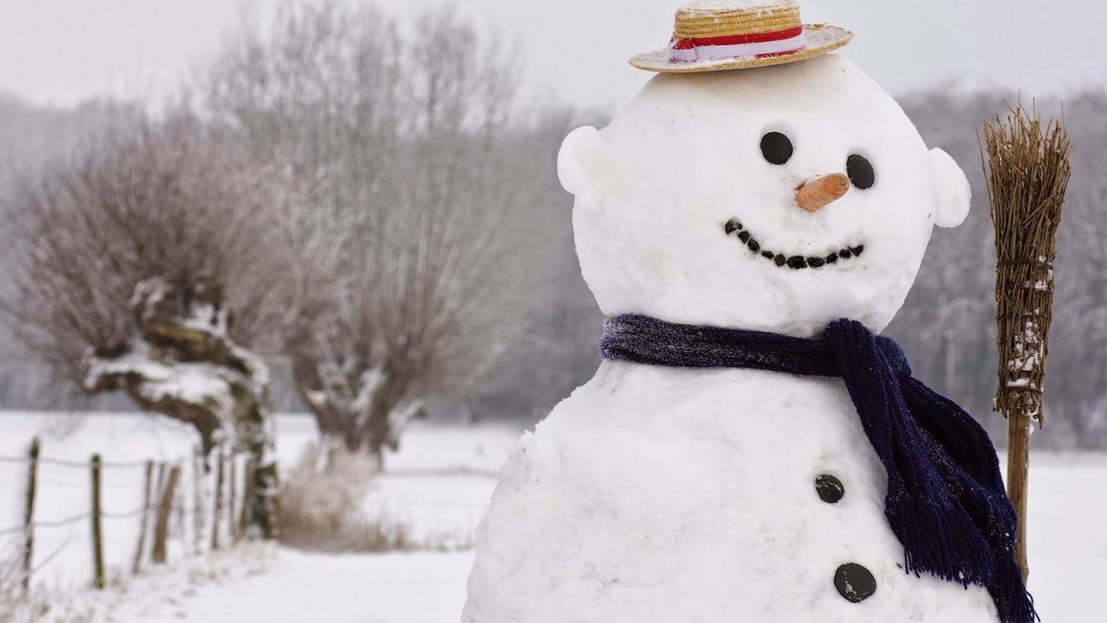 Snowman Doll Home Made Outdoor Costume Design Theme Wallpaper HD Image