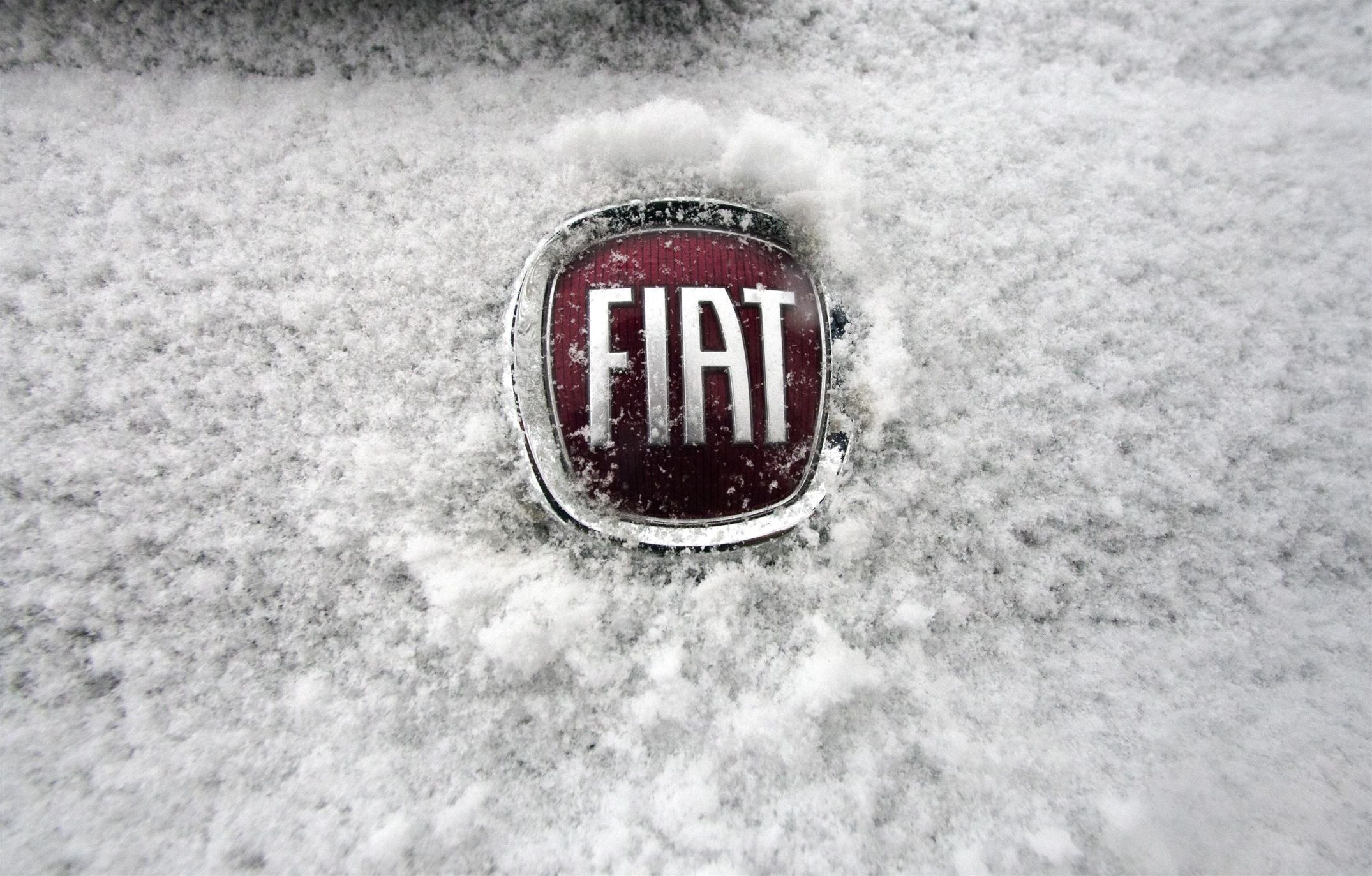 Fiat Snow Emblem Logo Wallpaper HDwalllpapers Brands And