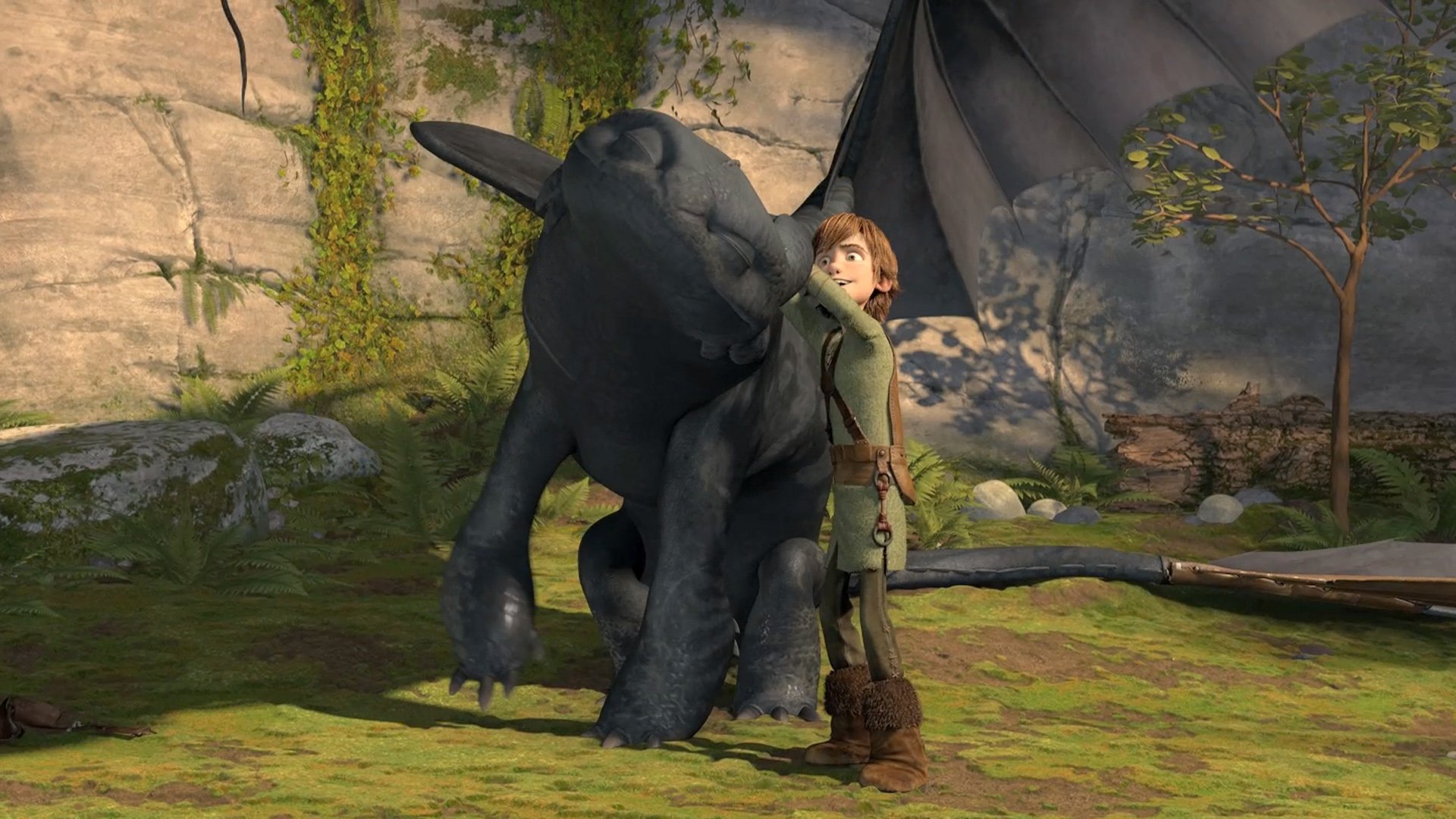 Toothless How To Train Your Dragon Hiccup Wallpaper Background