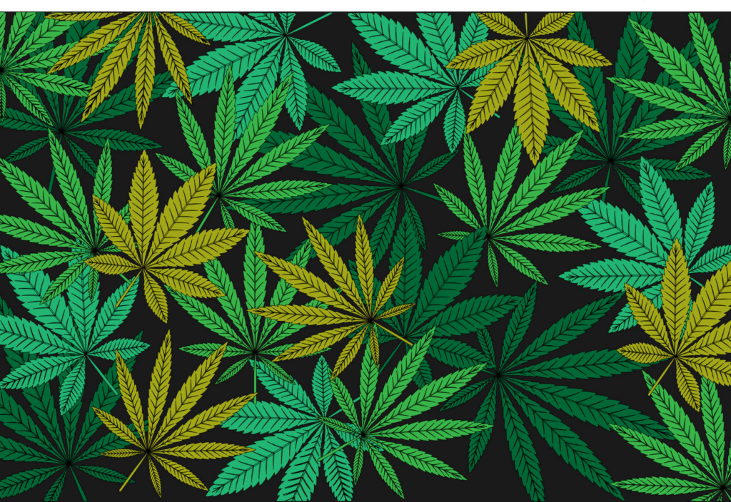 Cannabis And Web3 Crossover Tokenization Canna Law