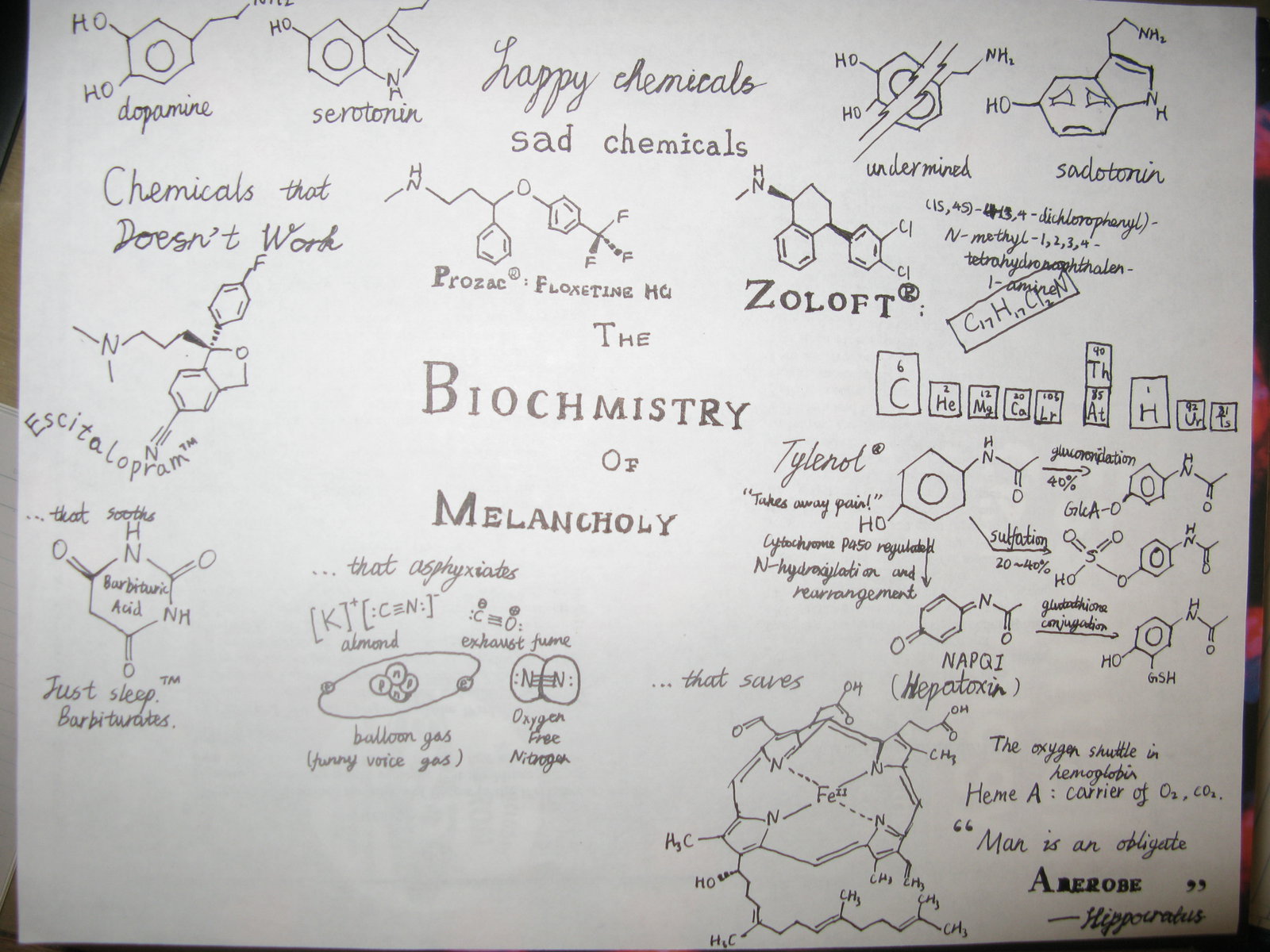 Biochemistry Wallpaper The Of Melancholy
