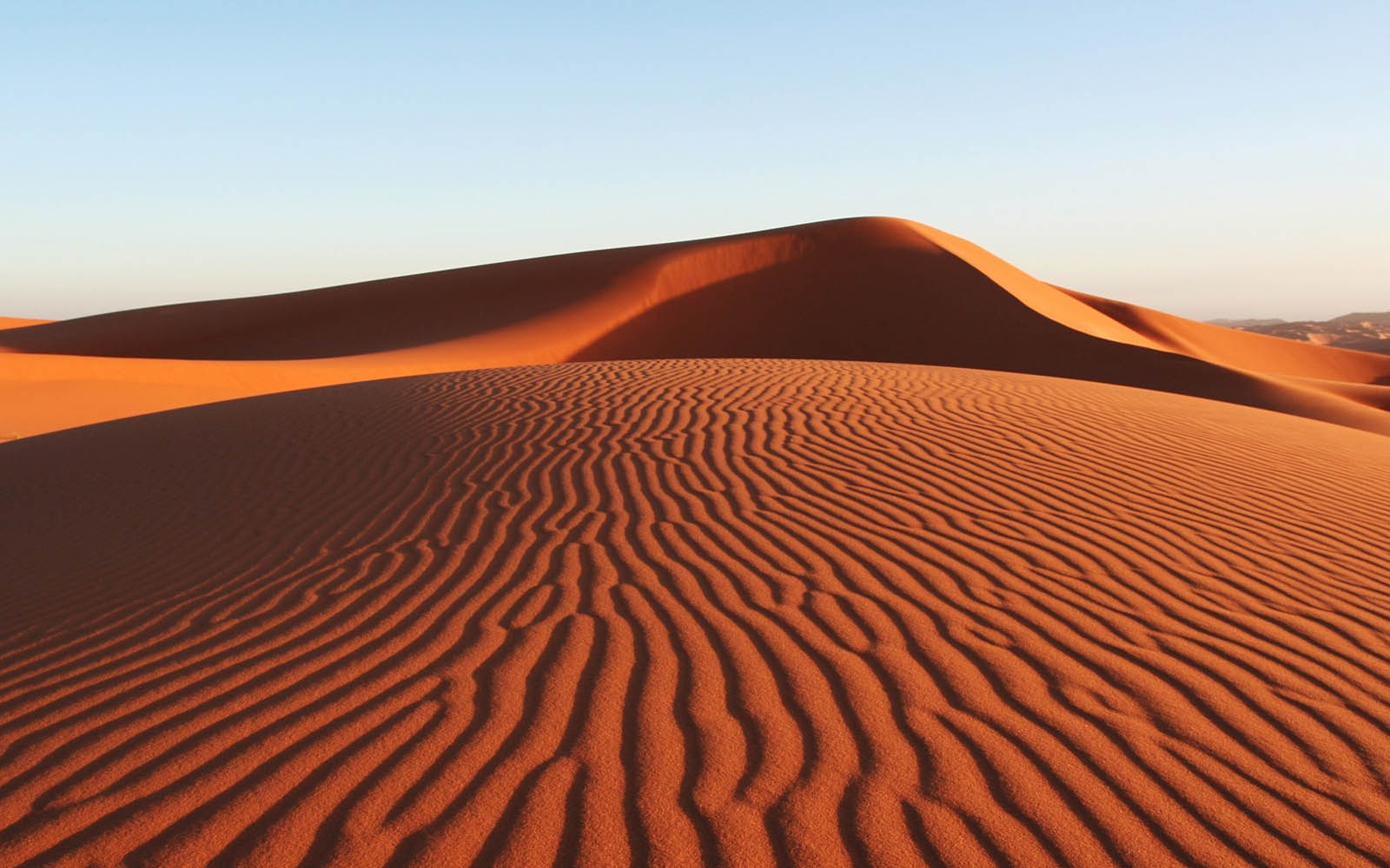 Desert Wallpaper