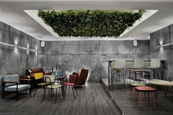 Living Area Design Ideas With Concrete Wallpaper And Go Green Ceiling