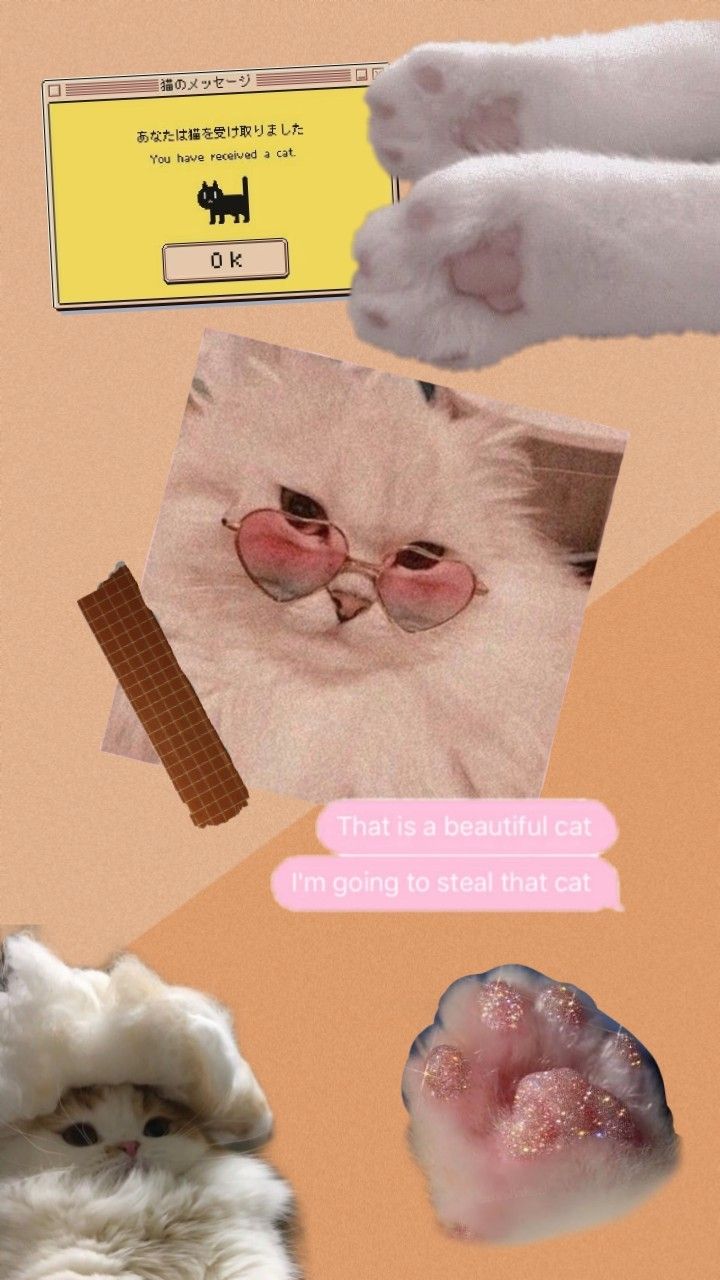 aesthetic cat collage