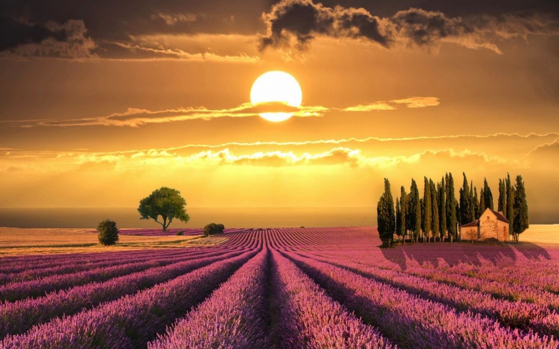 Lavender Field Sunset Clouds Sky Landscape Wallpaper