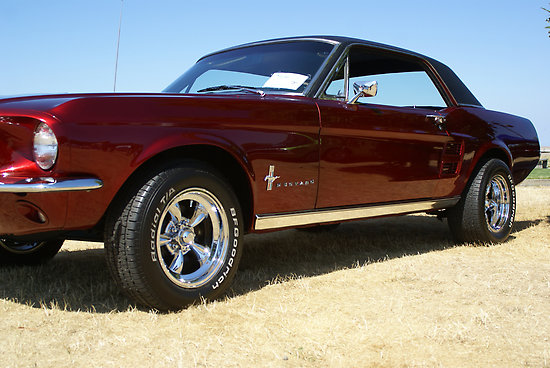 Shawnna Taylor Portfolio Mustang Coupe