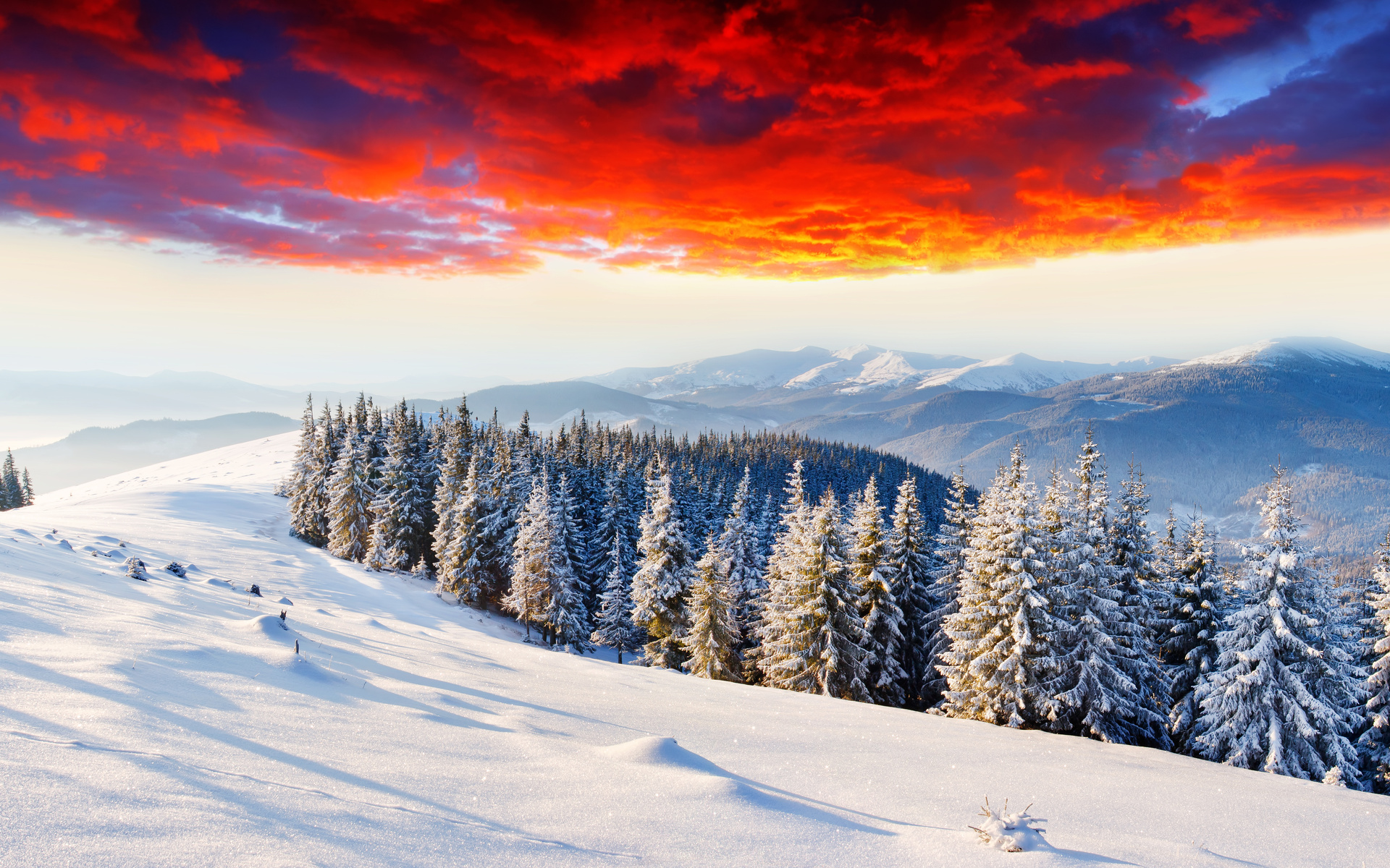 Landscapes Nature Winter Seasons Snow Trees Forests Mountains Sunsets Sunrises Skies Wallpaper