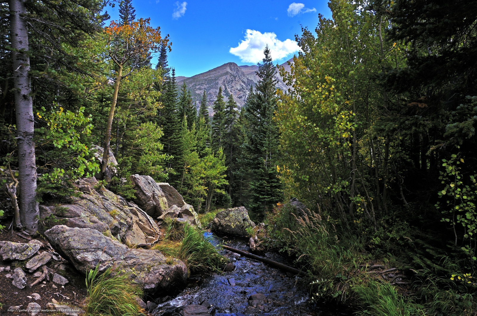 Download wallpaper Rocky Mountain National Park river Mountains