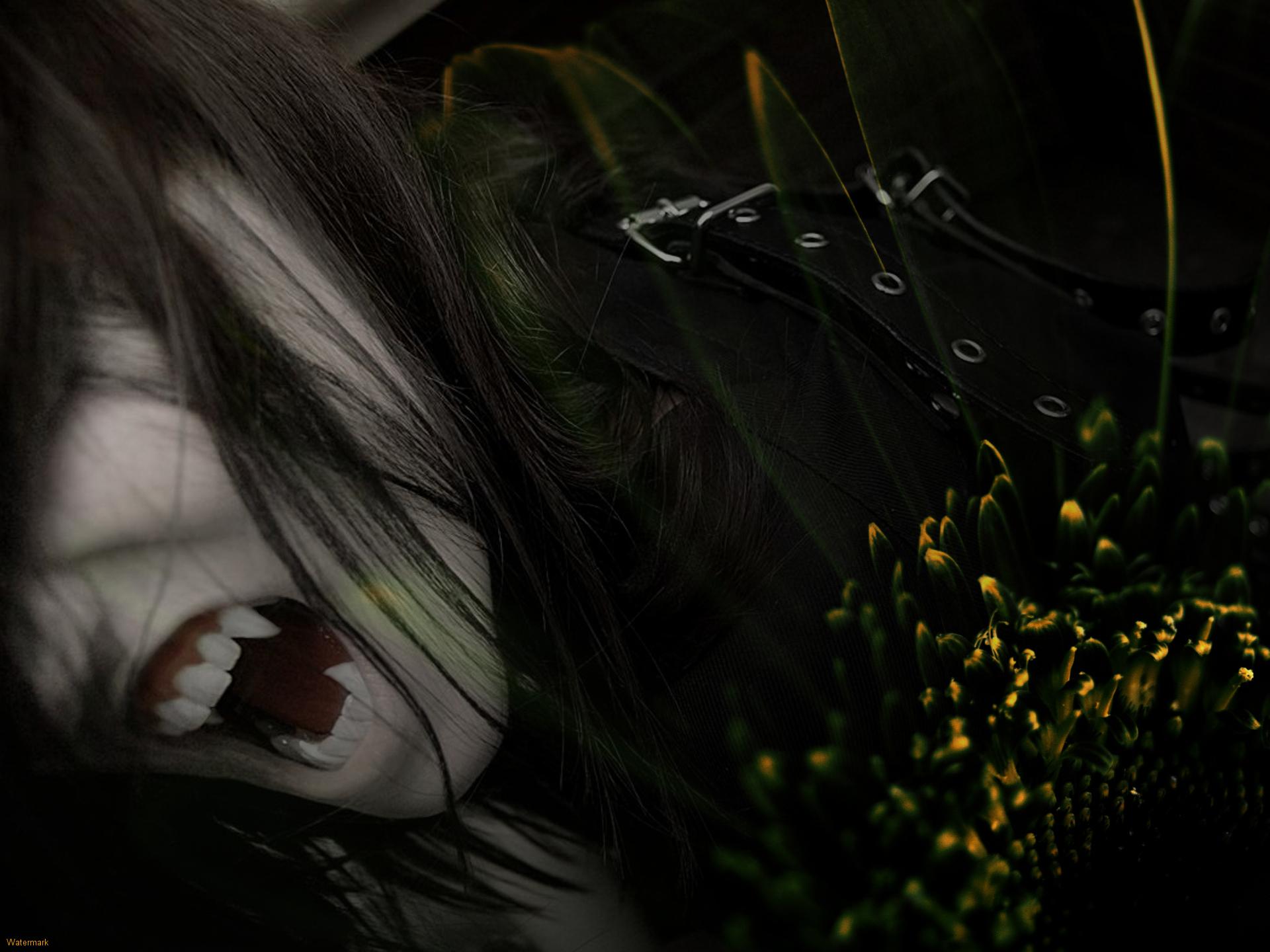 Vampire Anime Wallpaper HD In Imageci
