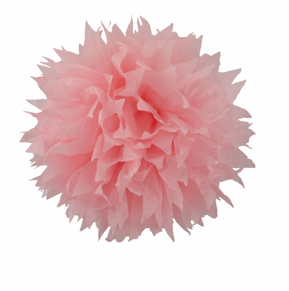 Pom Image In Collection Transparent Background Pega Certified