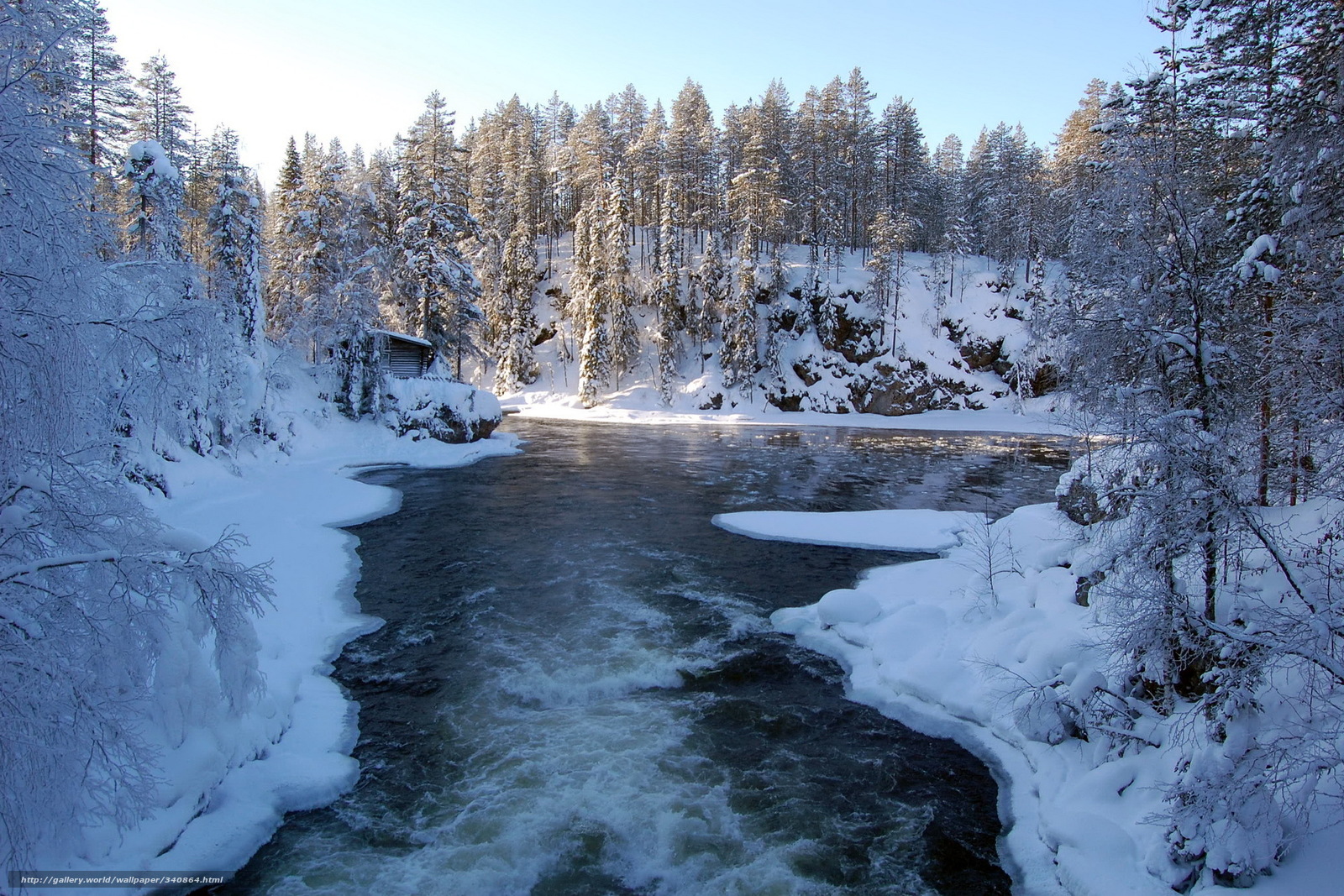 Wallpaper Winter River Snow Forest Desktop