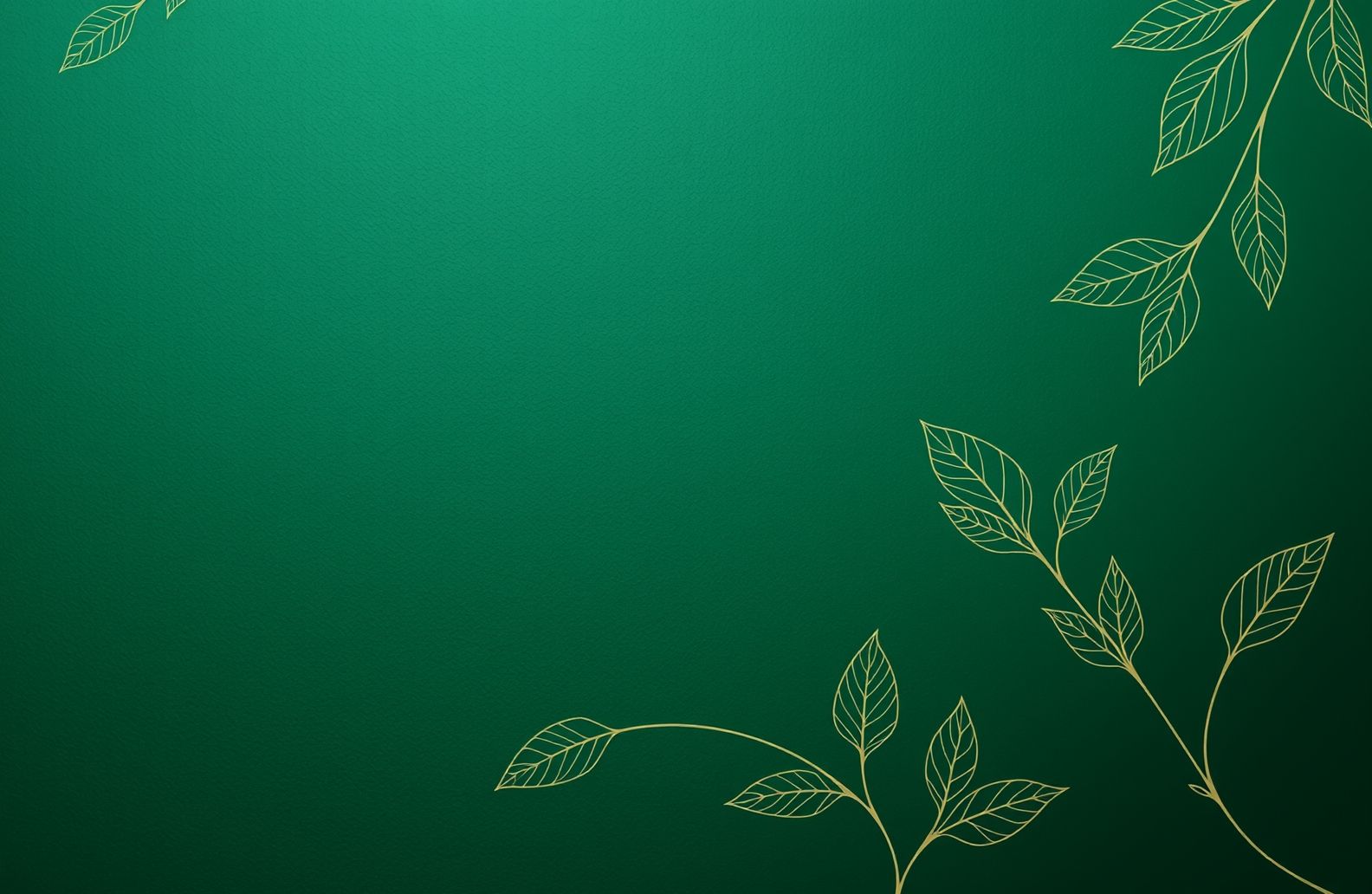 Dark Green Wallpaper Hd