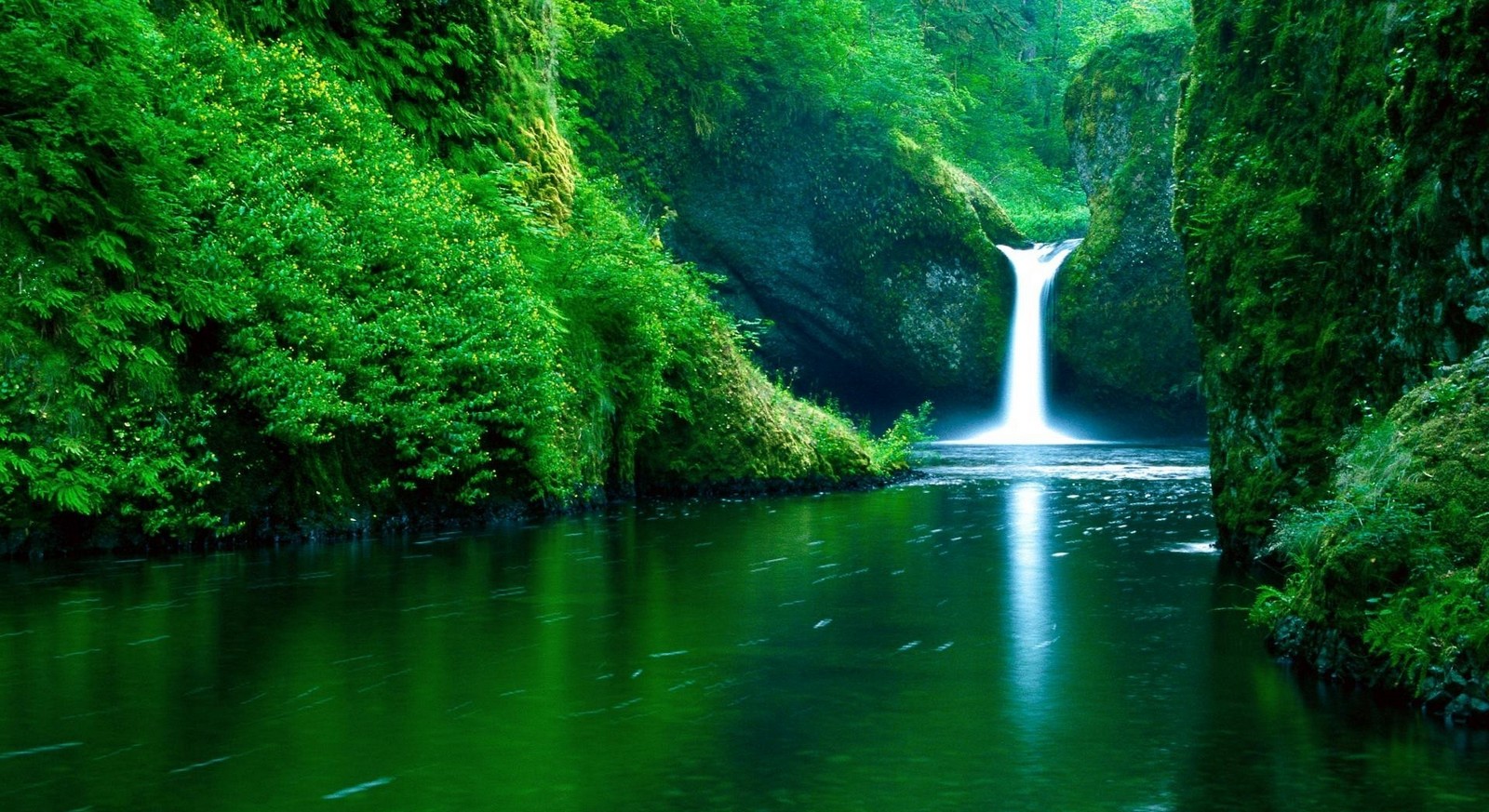Nature Wallpapers Free Download For Desktop Background